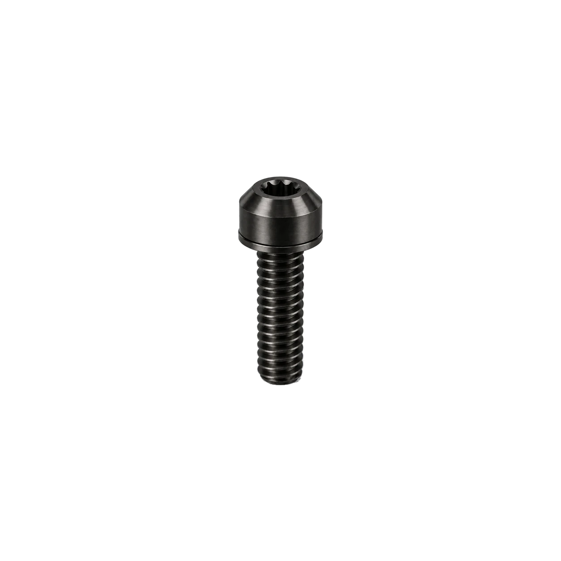 M5 Titanium Dome Head Bolt – With Washer — Raw Titanium