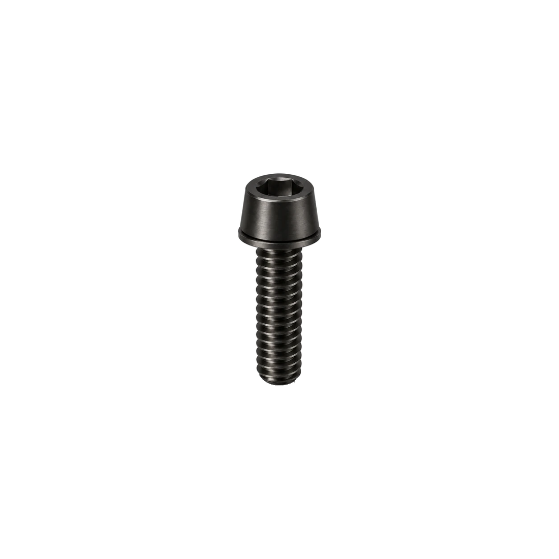 M5 Titanium Tapered Socket Cap Bolt – With Washer — Raw Titanium
