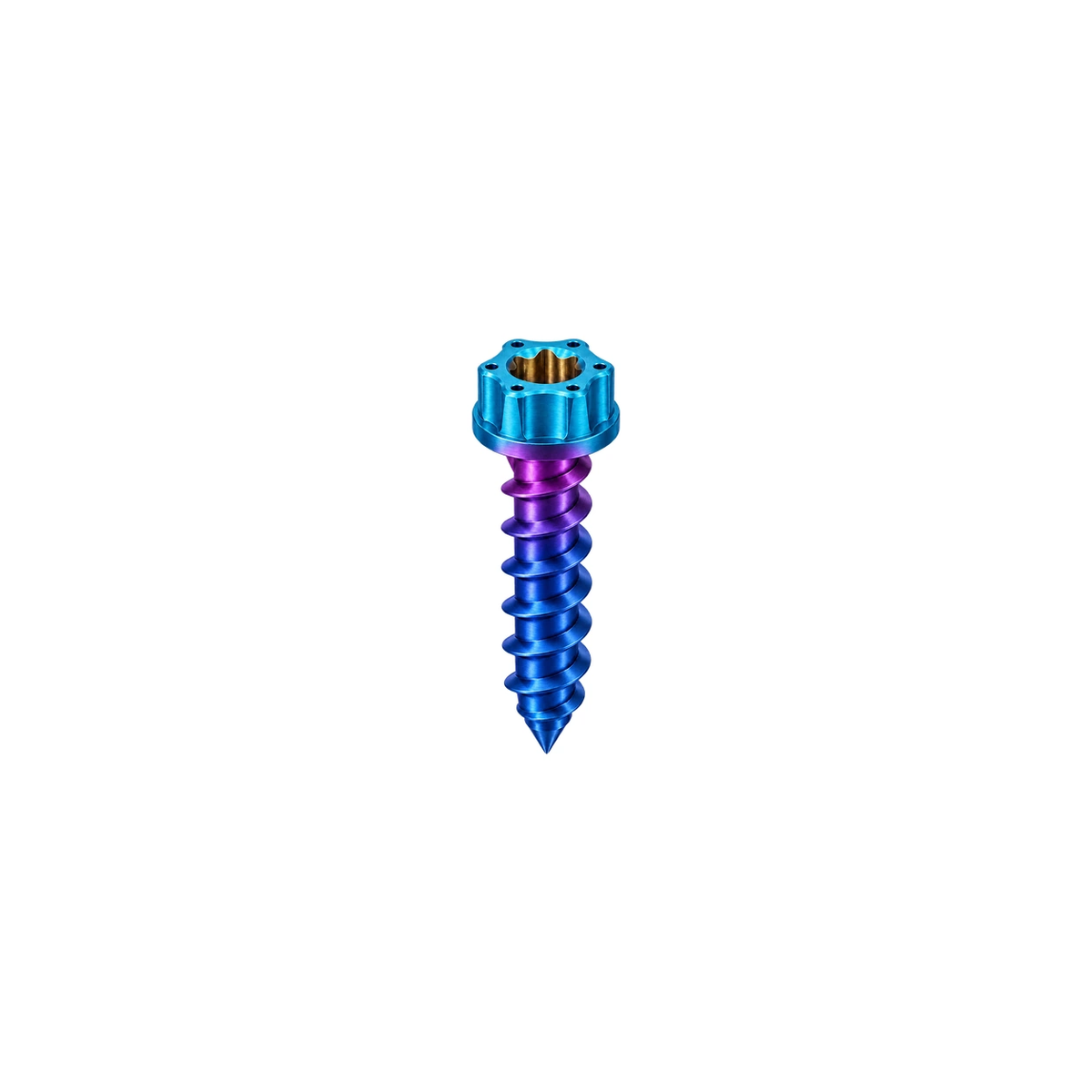 M5 Titanium Torx Flanged Head Self-Tapping Screw — Burnt Blue