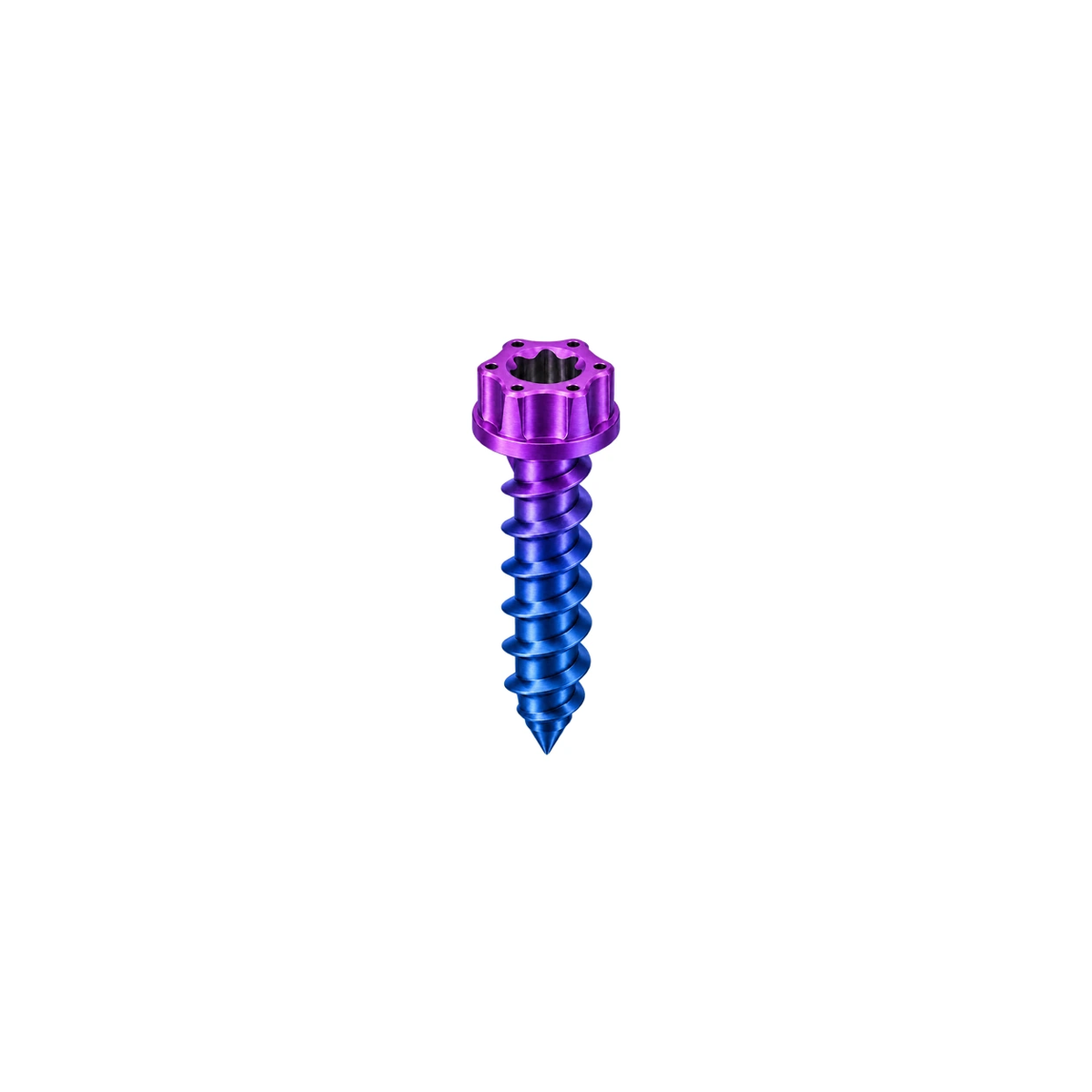 M5 Titanium Torx Flanged Head Self-Tapping Screw — Blue Purple