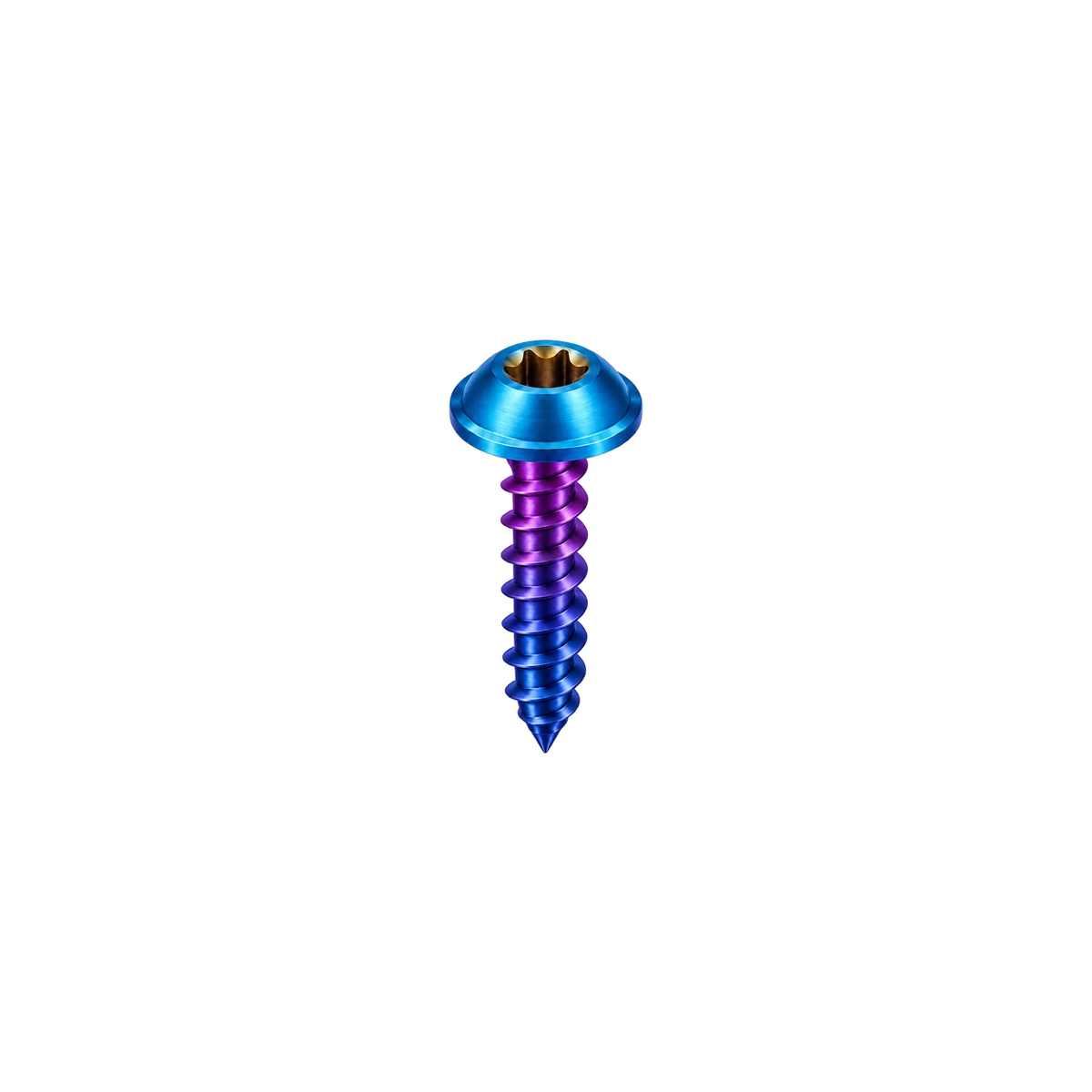 M5 Titanium Flanged Button Head Self-Tapping Screw — Burnt Blue