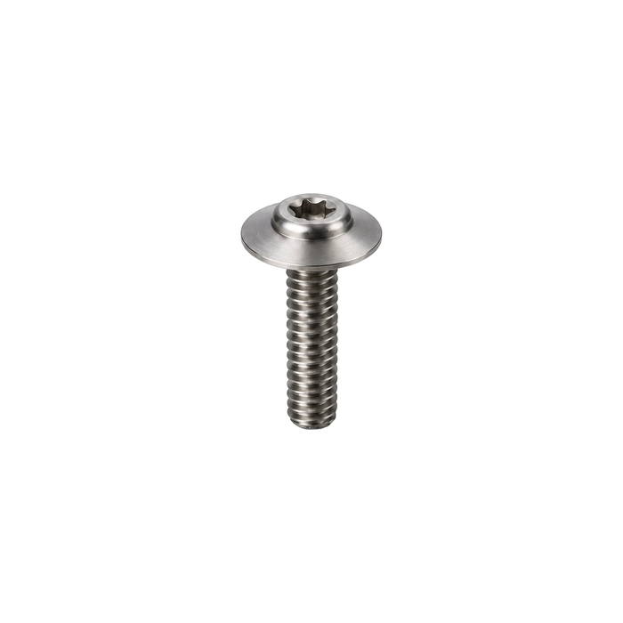 M6 Titanium Large Flange Button Head Bolt