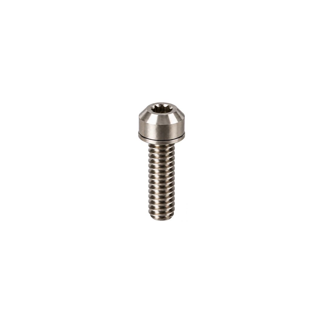 Titanium MTB Caliper Bolt Set — Raw Titanium