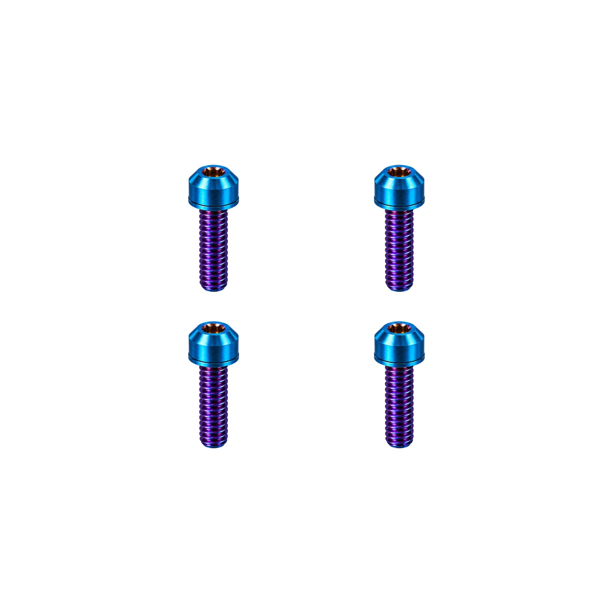 Titanium MTB Caliper Bolt Set — Burnt Blue