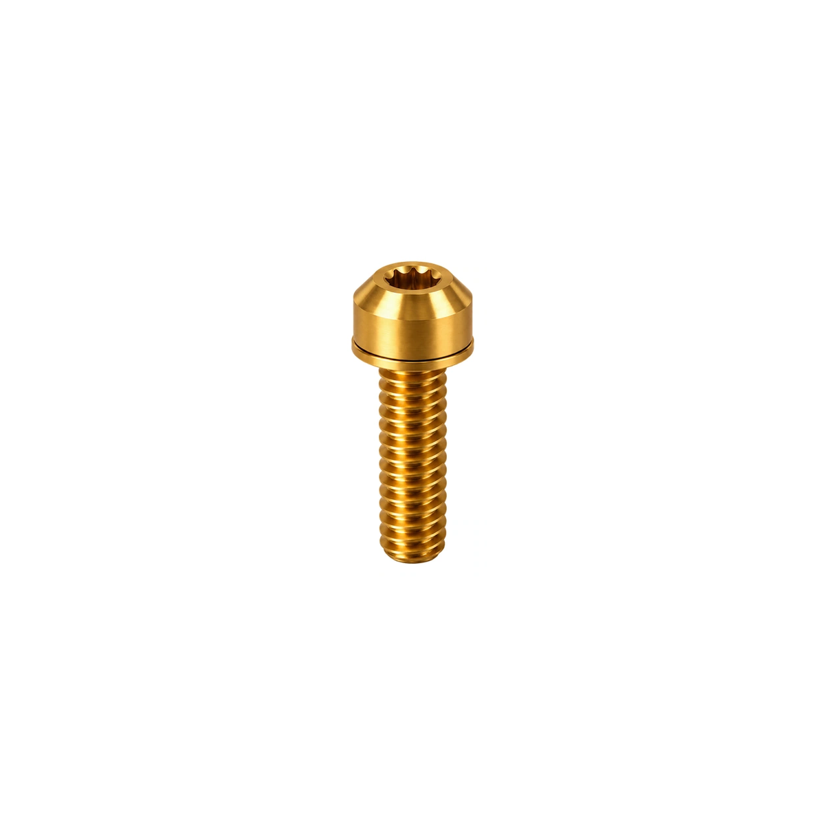 Titanium MTB Caliper Bolt Set — Gold