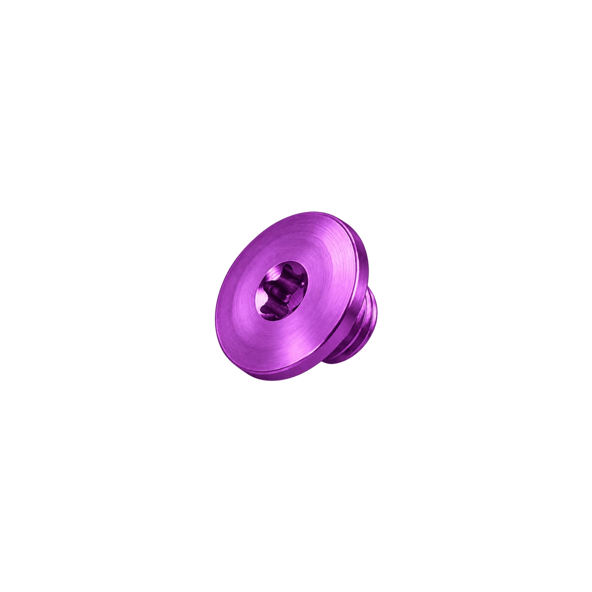 Titanium Brake Bleed Port Screw for Shimano — Purple