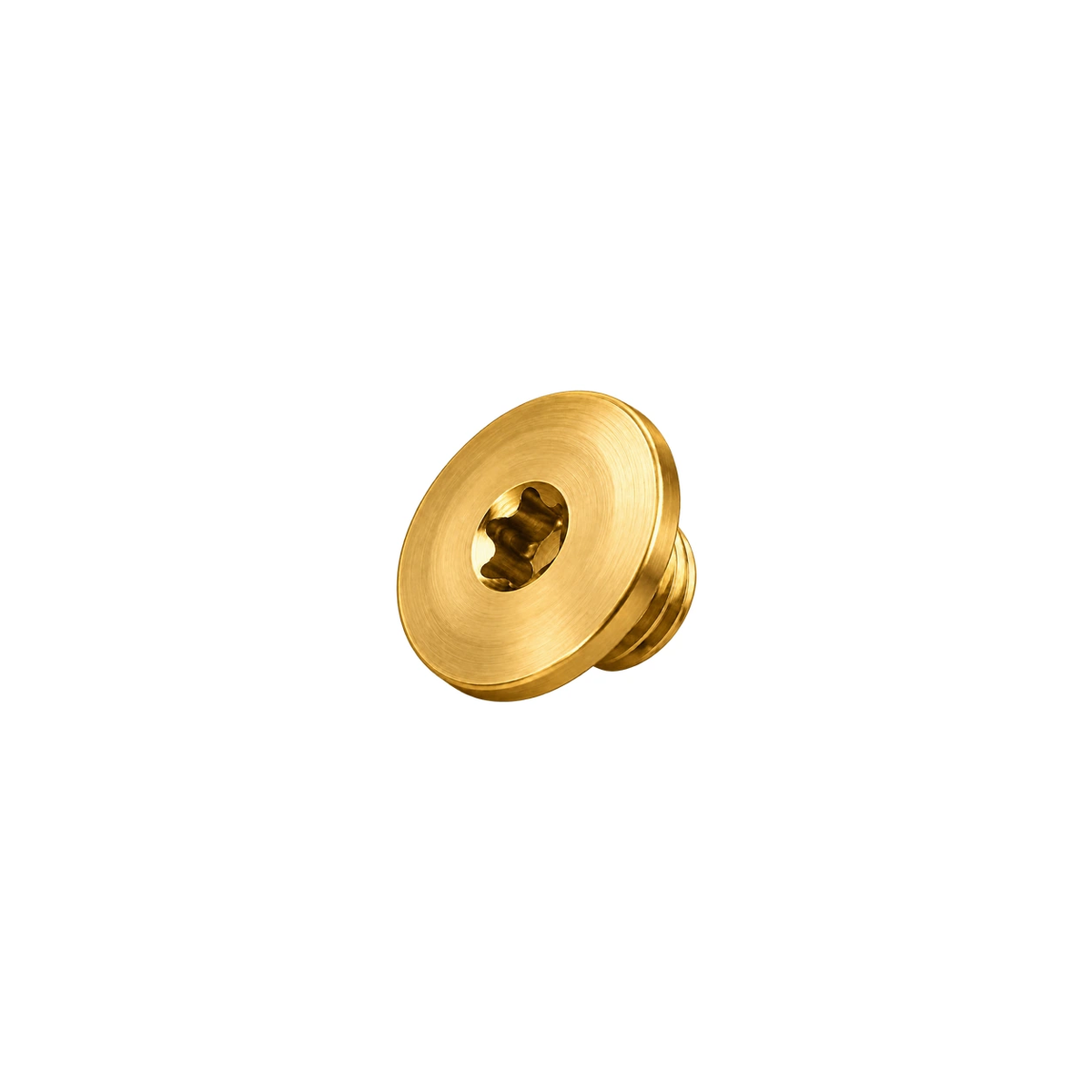 Titanium Brake Bleed Port Screw for SRAM — Gold