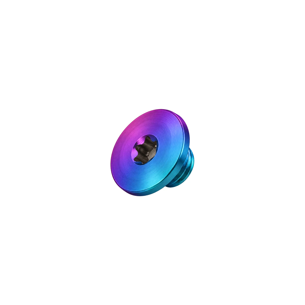 Titanium Brake Bleed Port Screw for SRAM — Candy Matte
