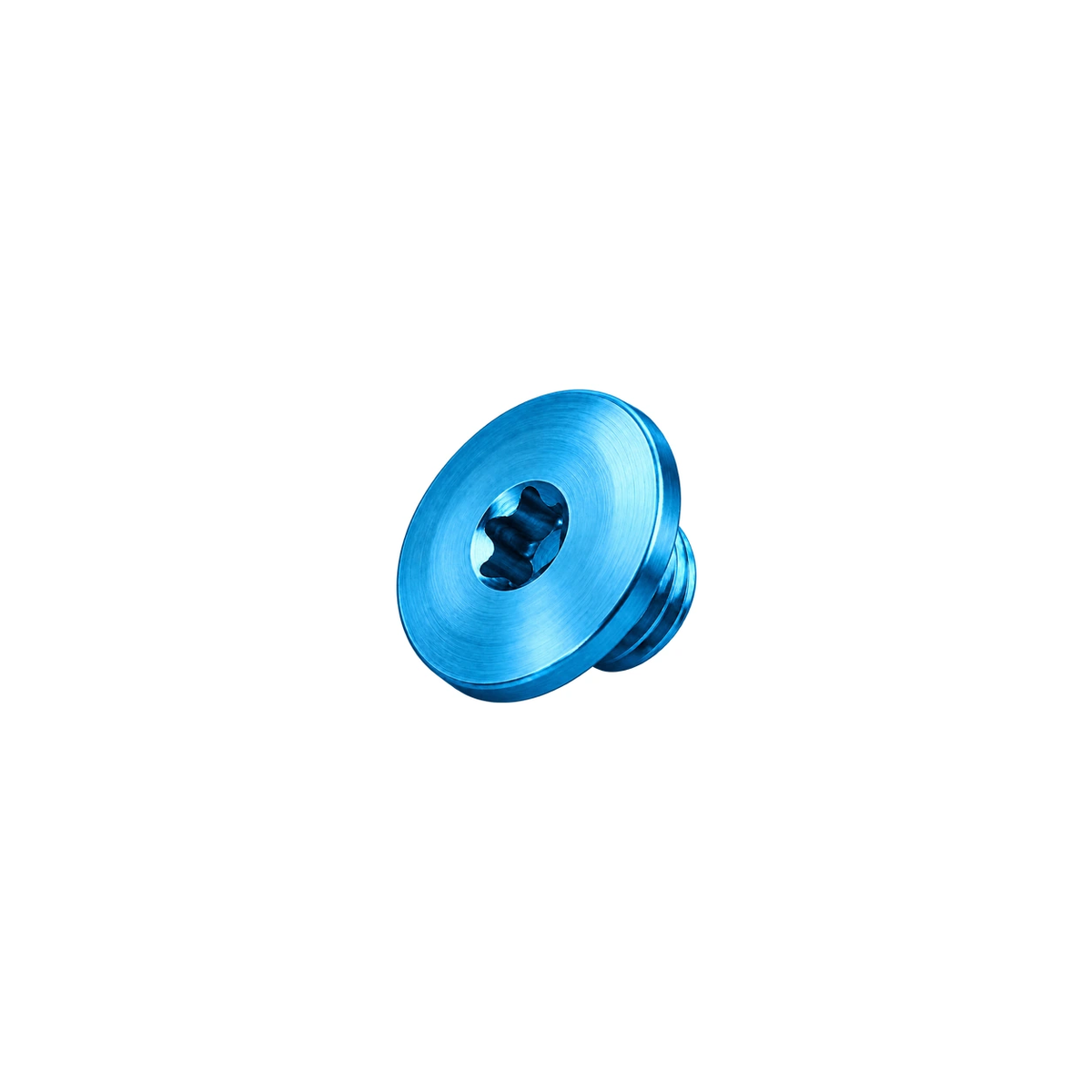 Titanium Brake Bleed Port Screw for SRAM — Aqua Blue