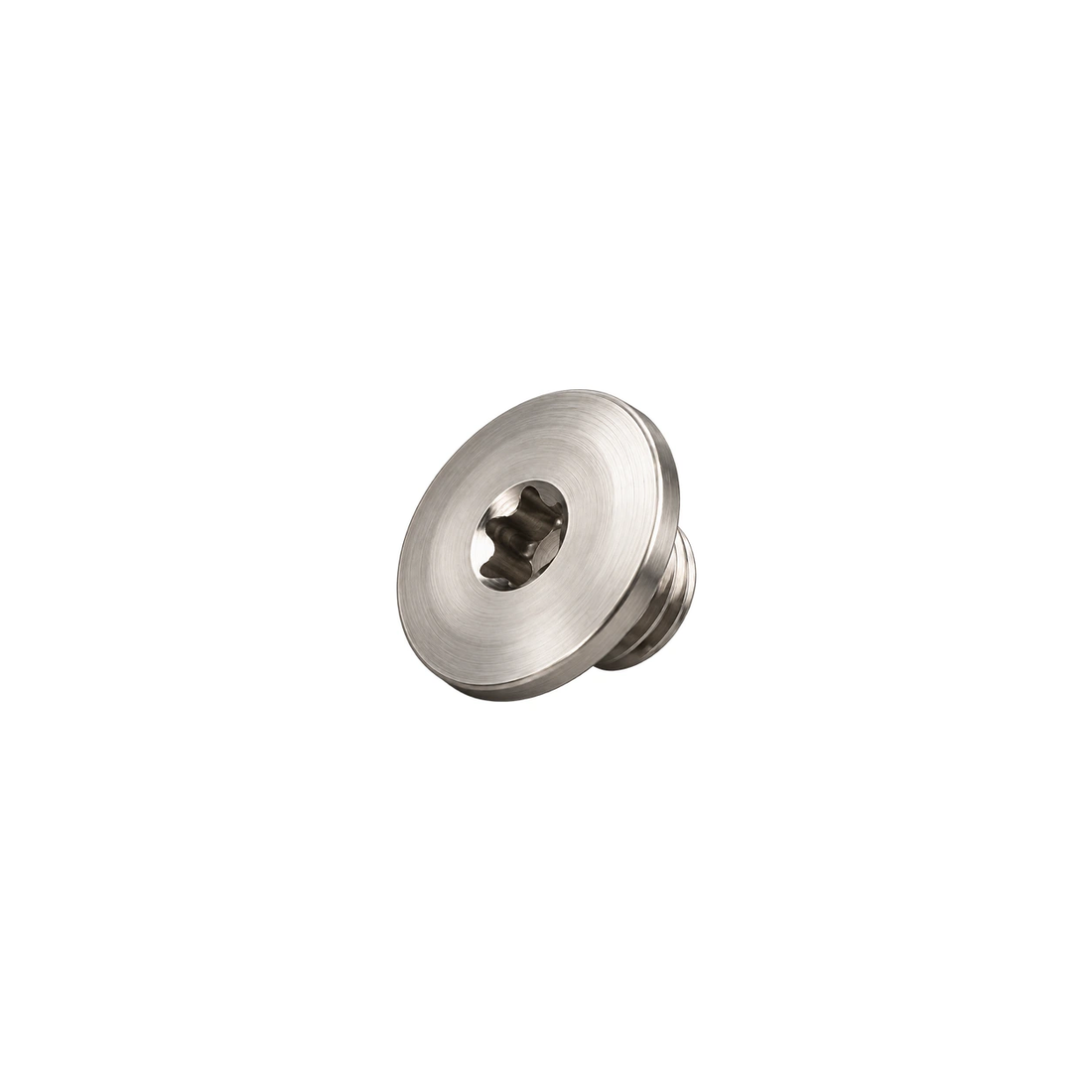 Titanium Brake Bleed Port Screw for SRAM — Raw Titanium