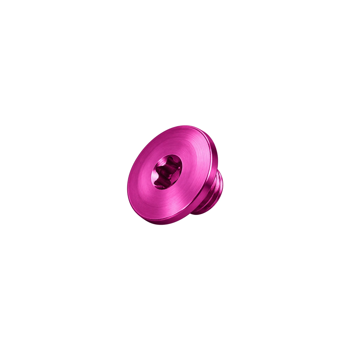 Titanium Brake Bleed Port Screw for SRAM — Magenta