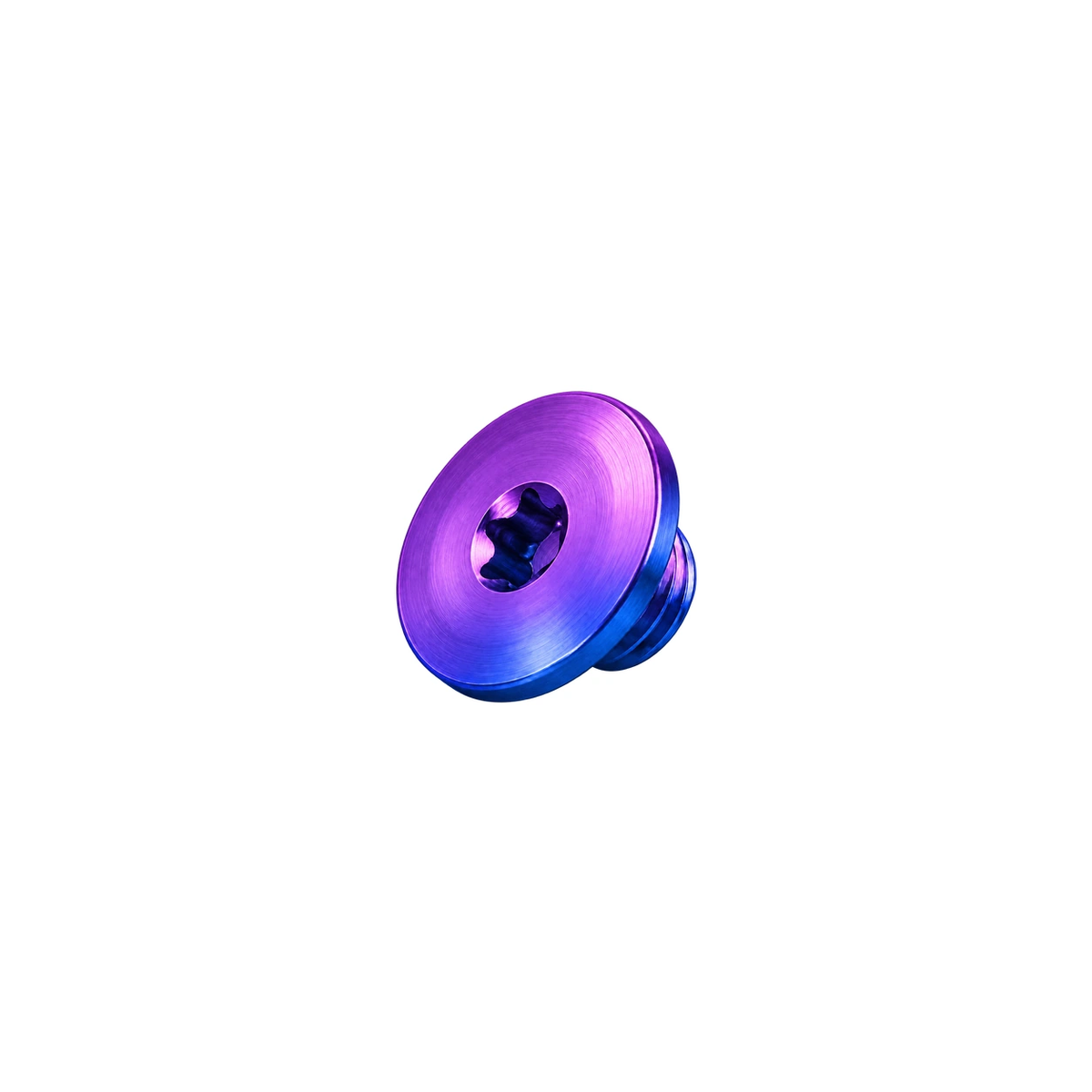 Titanium Brake Bleed Port Screw for SRAM — Blue Purple