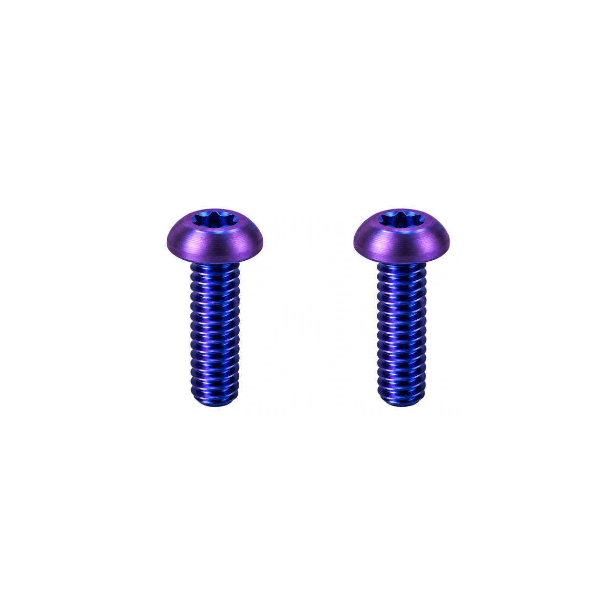 M5 Titanium Bottle Cage Bolt Set (12mm) — Blue Purple