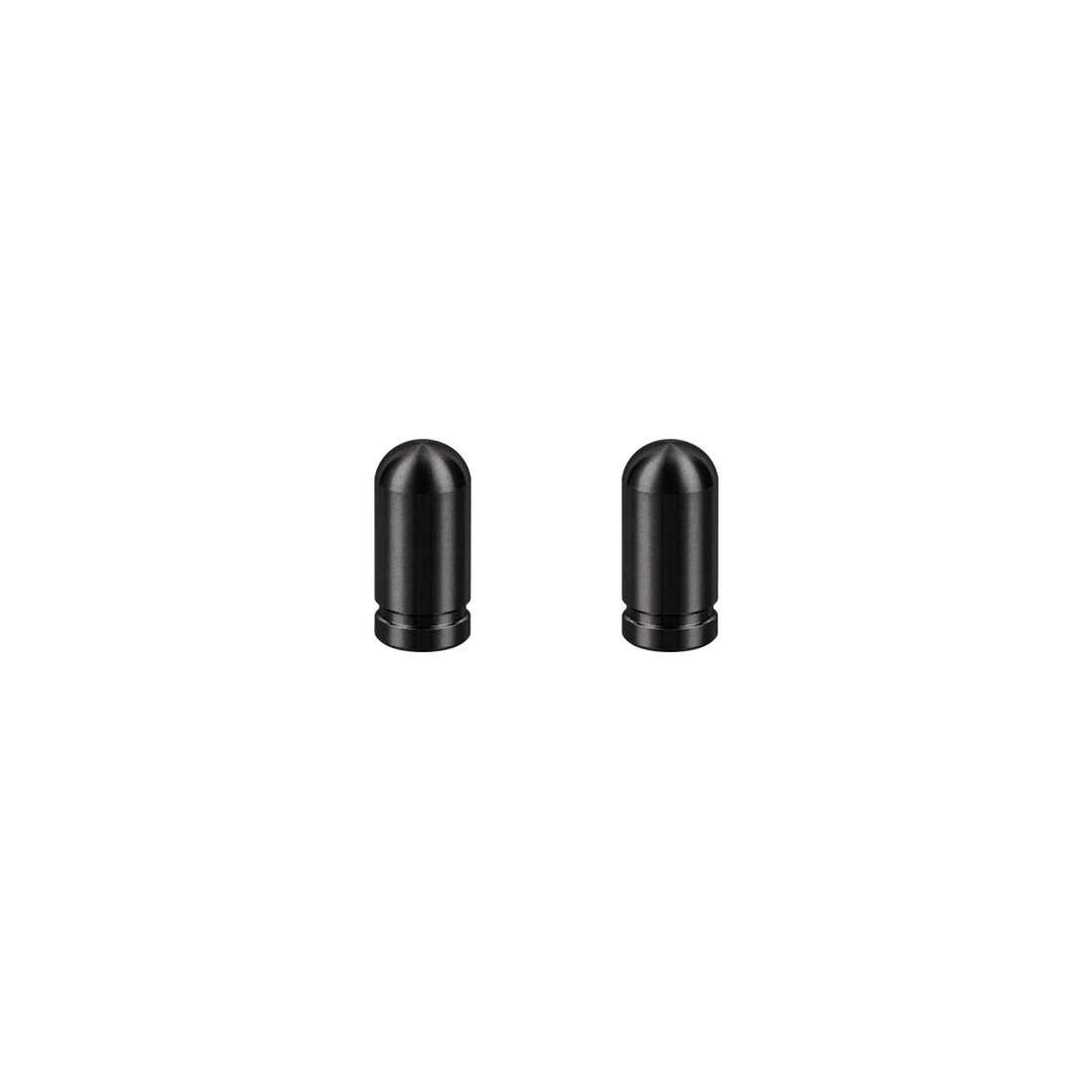 Titanium Valve Caps — Raw Titanium