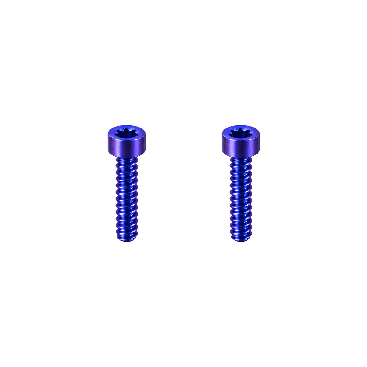 Titanium Magura Brake Lever Bolts — Blue Purple