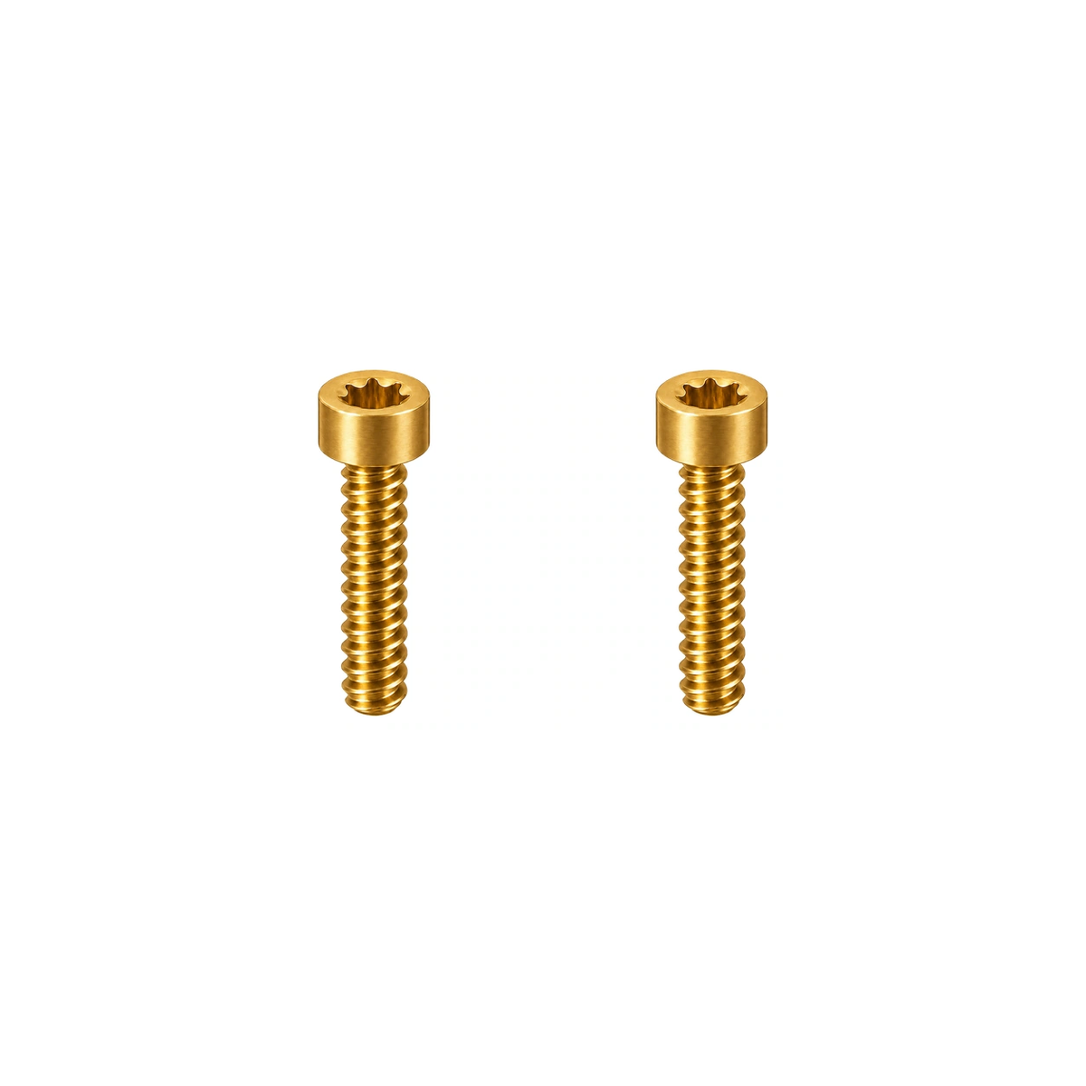 Titanium Magura Brake Lever Bolts — Gold