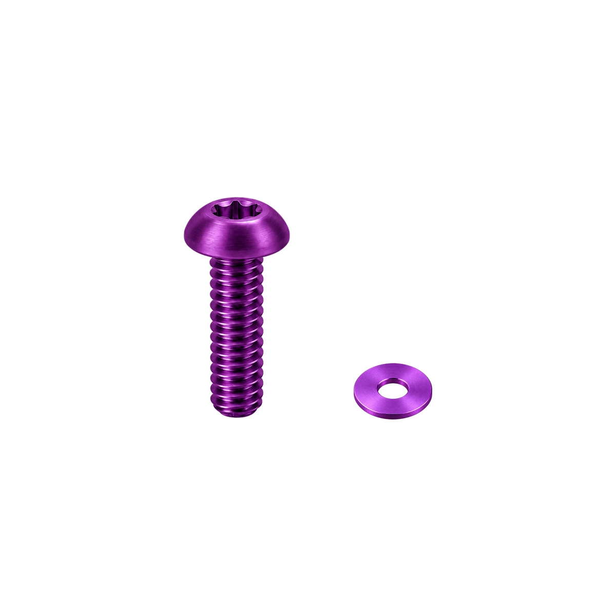 Titanium MRP AMg Chainguide Bolt and Washer — Purple