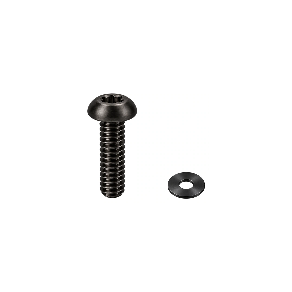 Titanium MRP AMg Chainguide Bolt and Washer — Black