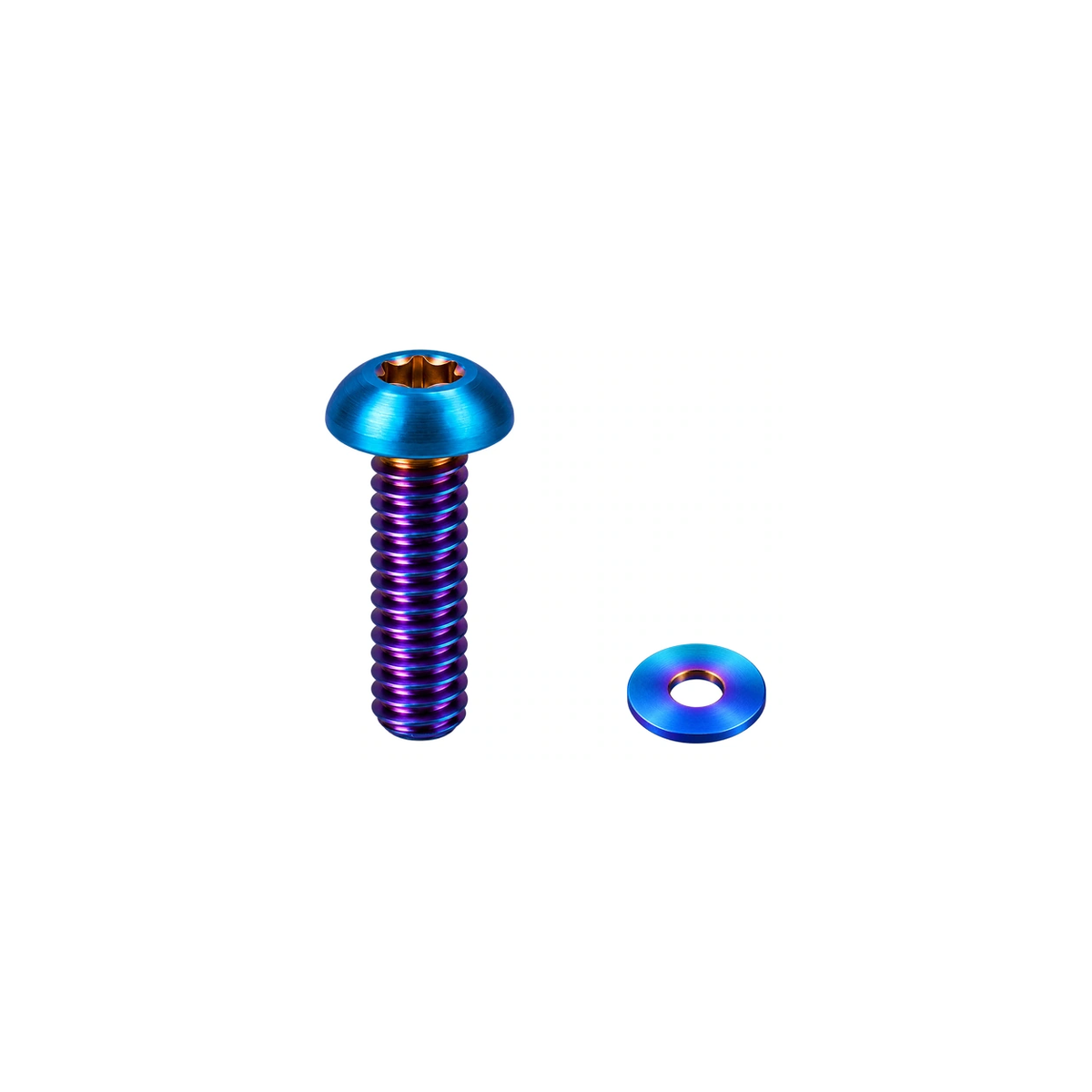 Titanium MRP AMg Chainguide Bolt and Washer — Burnt Blue