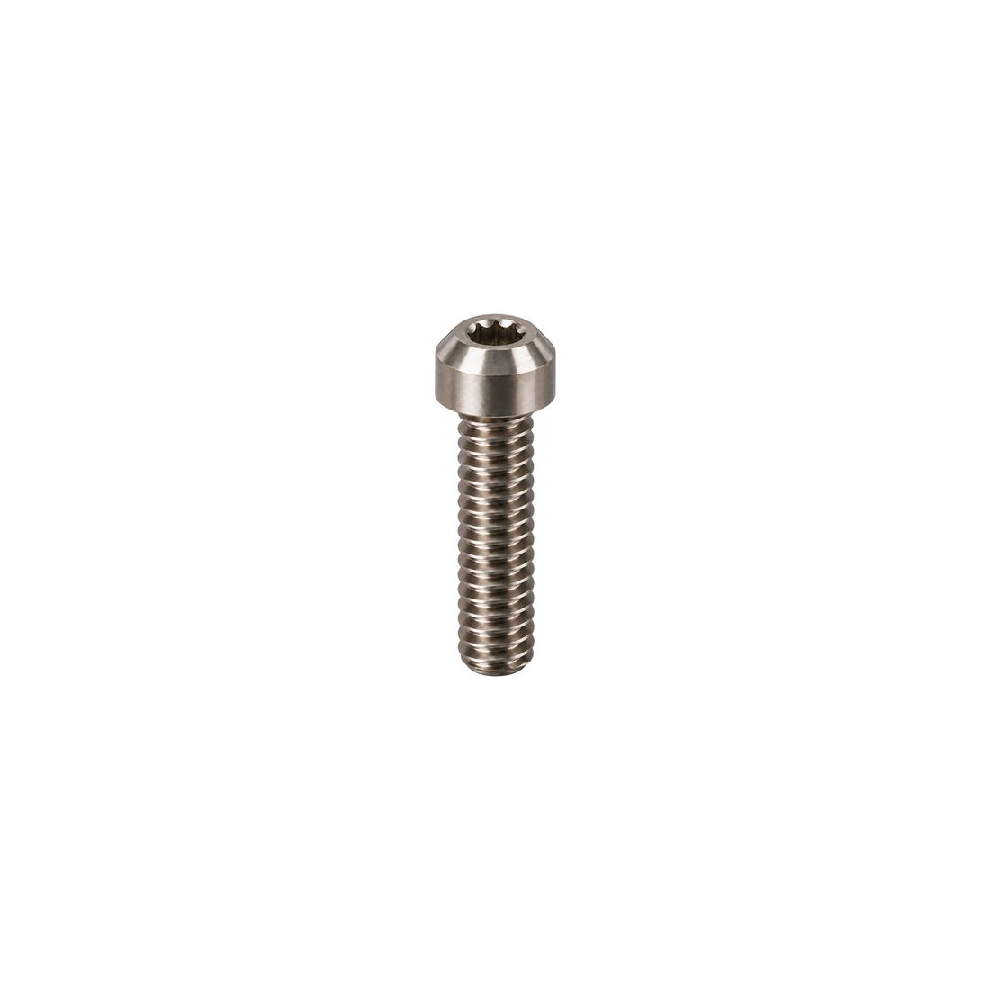 Titanium M4 Rear Derailleur Limit Screws — Raw Titanium