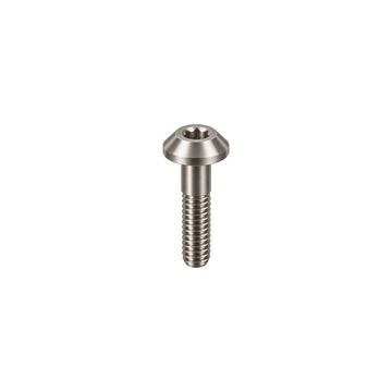 Titanium Shimano MTB Caliper Body Bolt — Raw Titanium