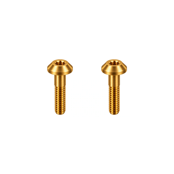 Titanium SRAM Road Caliper Body Bolts