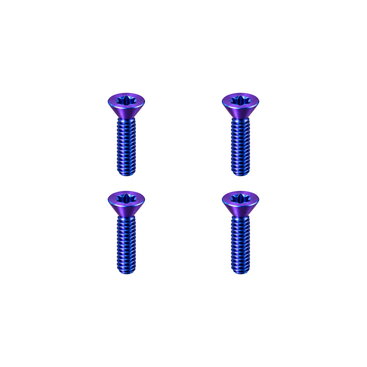 Titanium Canyon CP0018 Handlebar Screws — Blue Purple