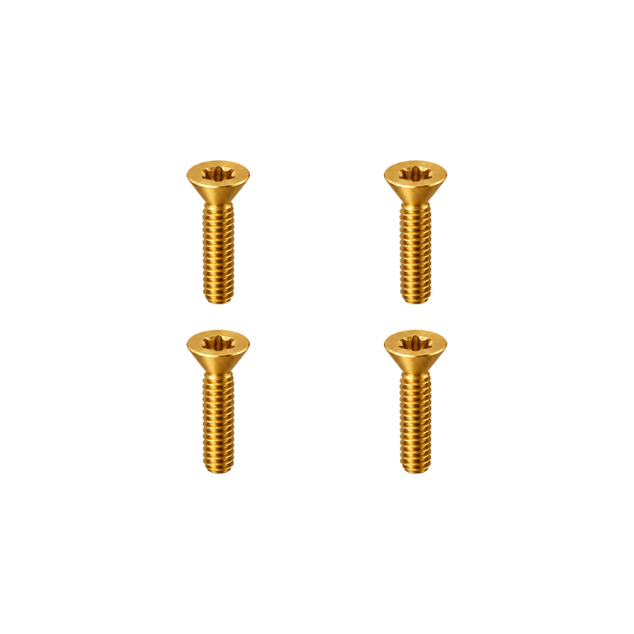Titanium Canyon CP0018 Handlebar Screws