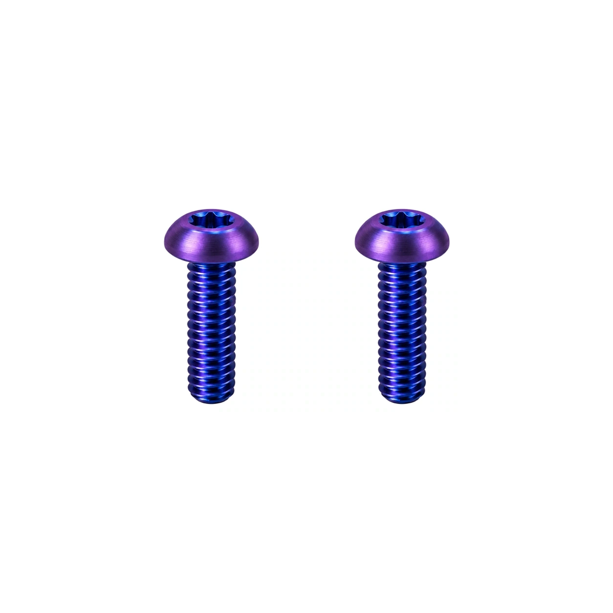 Titanium Cannondale MOMO Computer Mount Bolts — Blue Purple