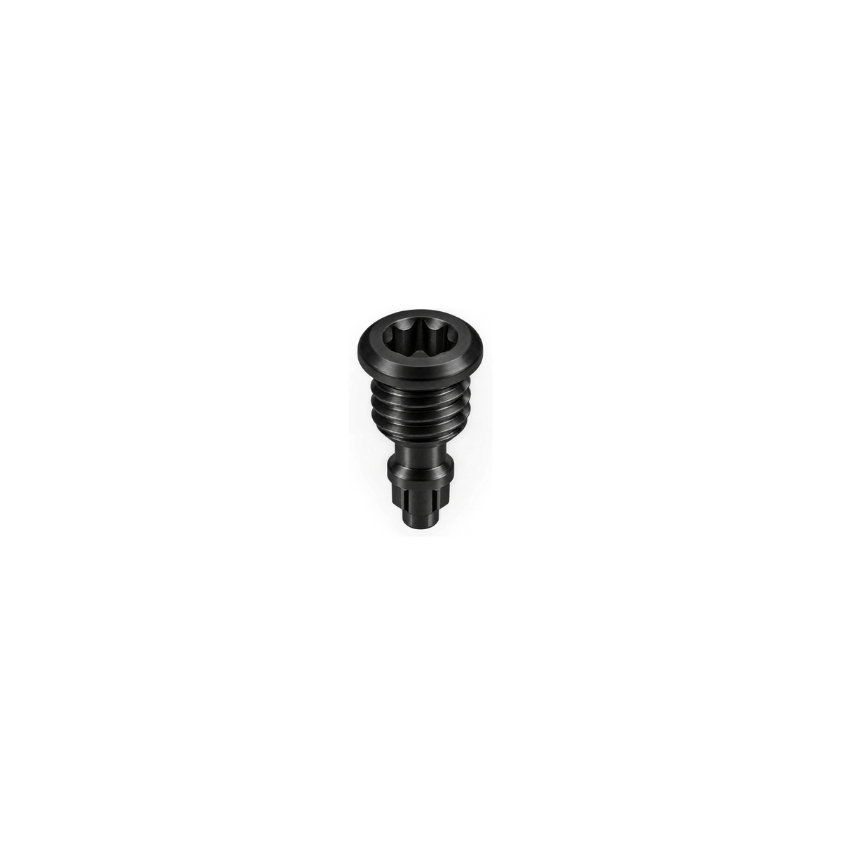 Titanium Magura EBT Reservoir Bleed Screw — Black