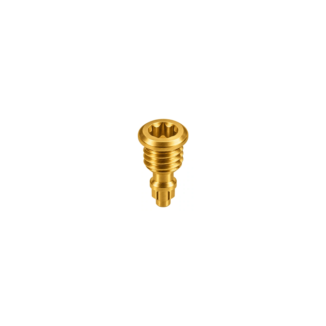 Titanium Magura EBT Reservoir Bleed Screw — Rainbow