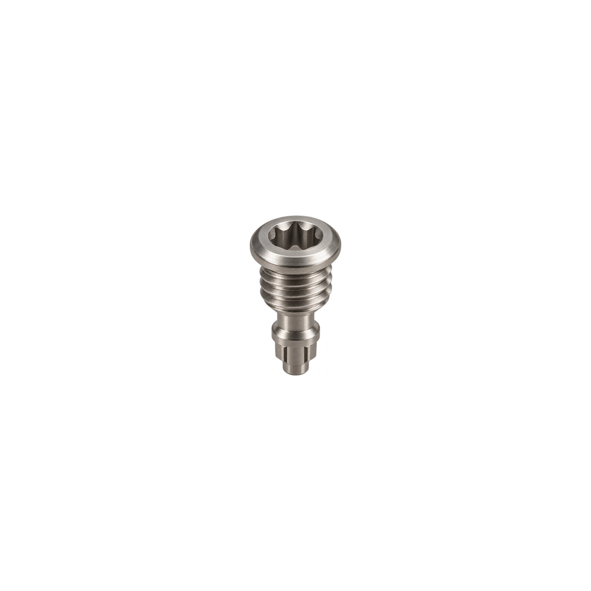 Titanium Magura EBT Reservoir Bleed Screw — Raw Titanium