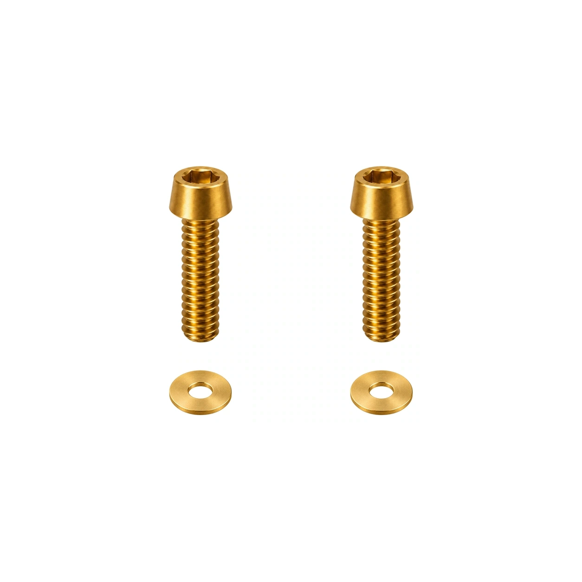 Titanium M5 Long Computer Mount Bolts and Washers — Gold