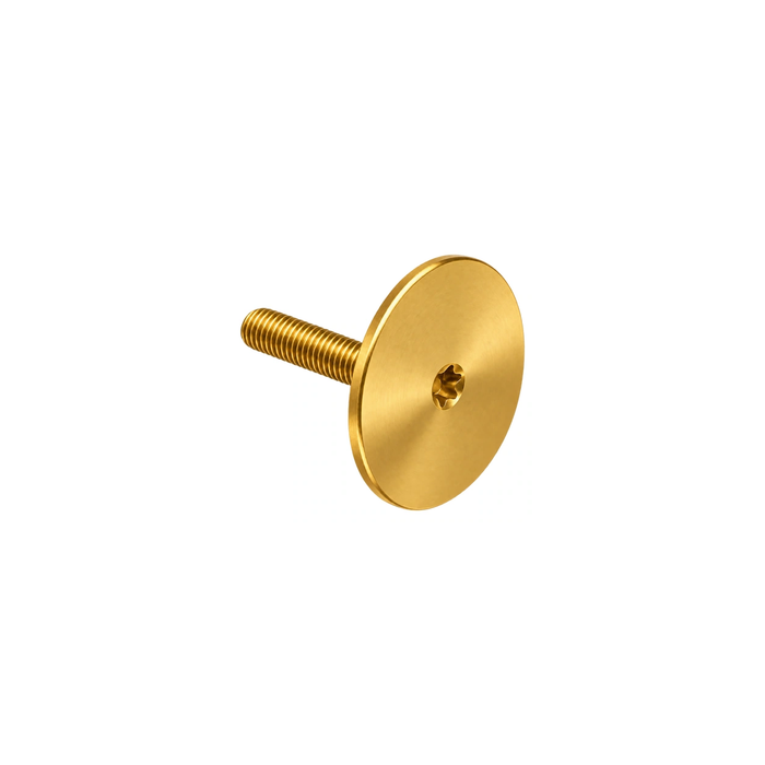 Titanium M6×33 Integrated Top Cap and Bolt