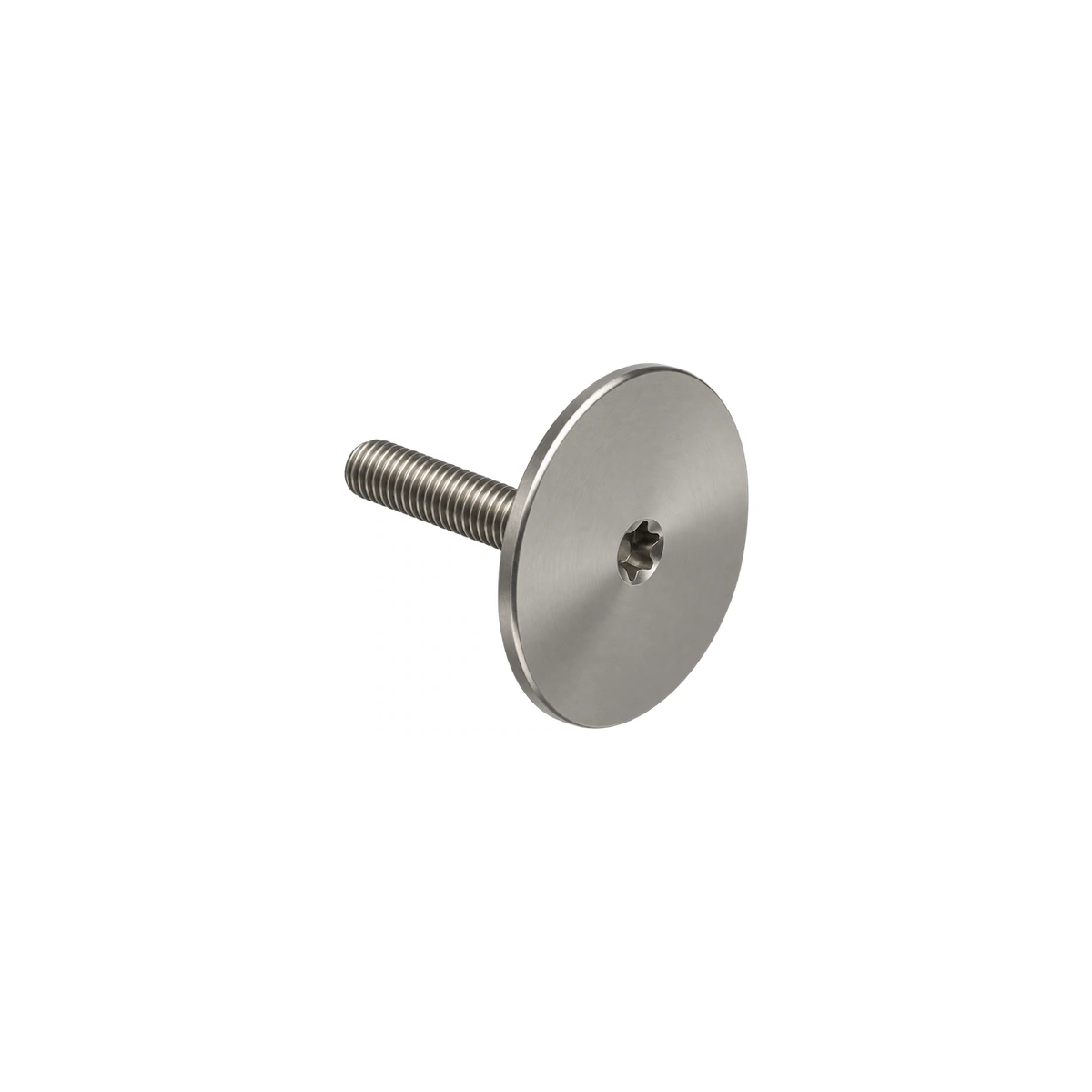Titanium M6×33 Integrated Top Cap and Bolt — Raw Titanium