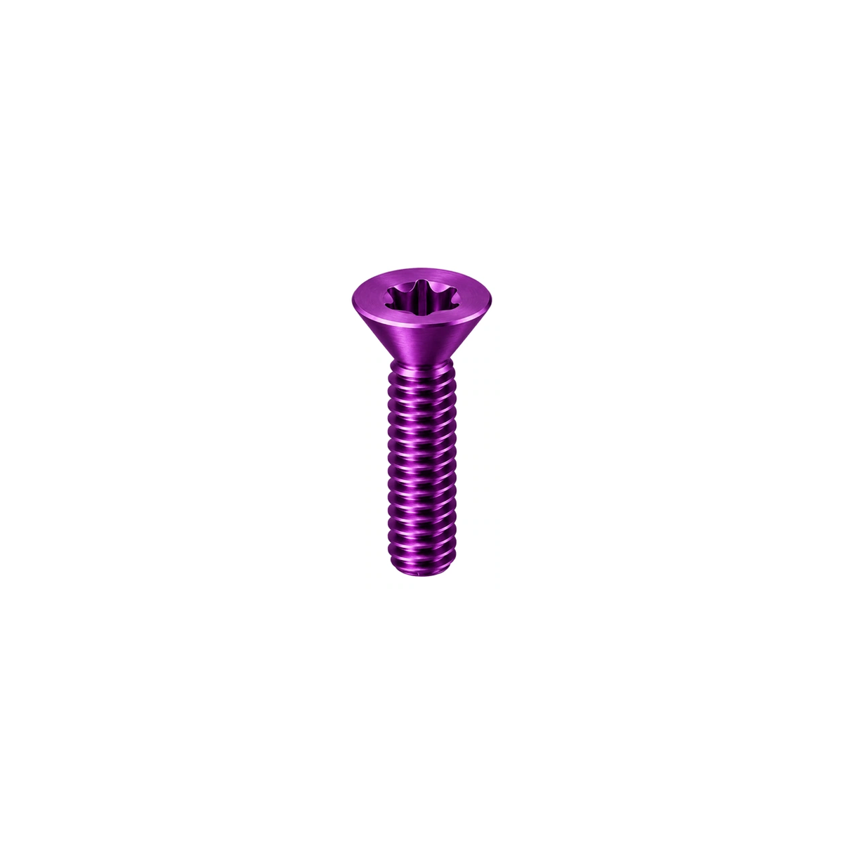 Titanium Canyon No.40 Derailleur Hanger Screw — Purple