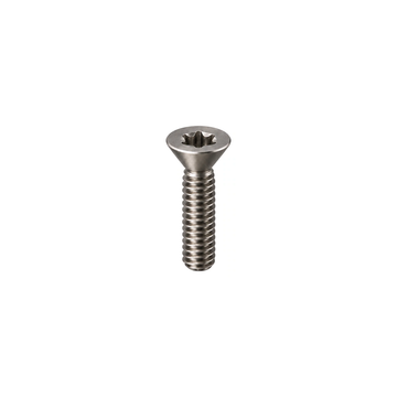 Titanium Canyon No.40 Derailleur Hanger Screw — Raw Titanium