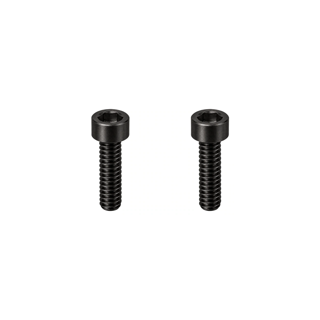 Titanium Fox 36 / 38 Mudguard Screws — Raw Titanium