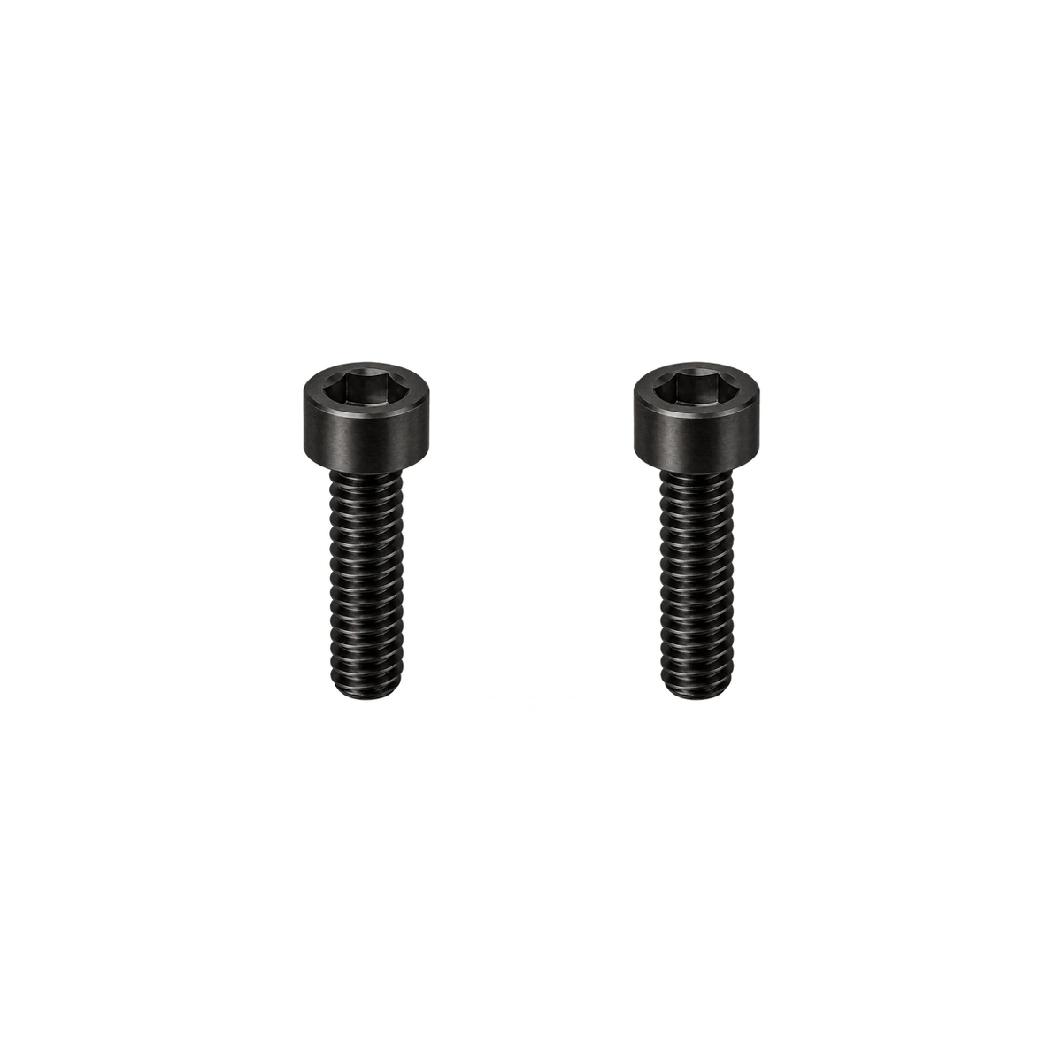 Titanium Fox 36 / 38 Mudguard Screws — Black