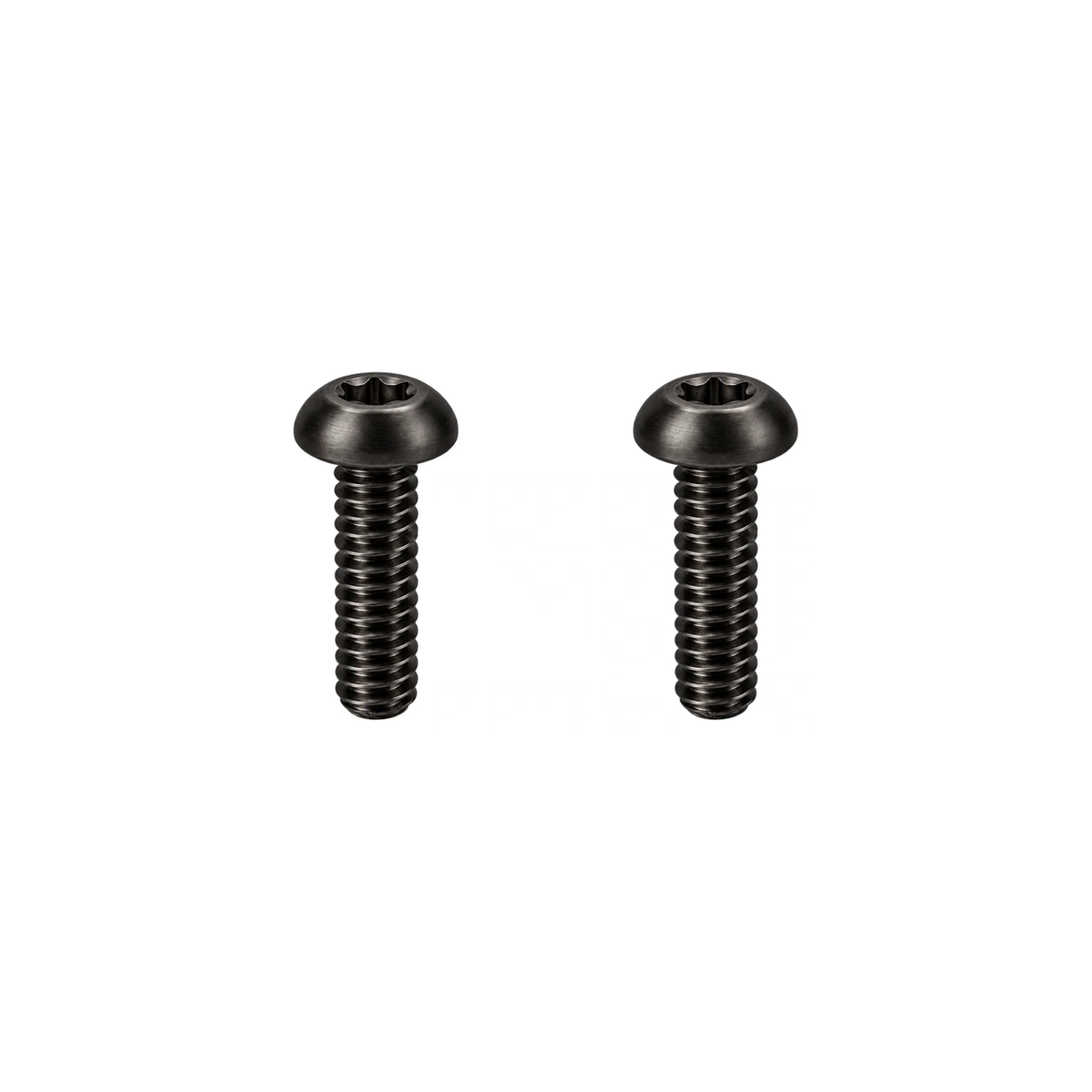 Titanium Paul Brake Lever Pivot Screws — Black