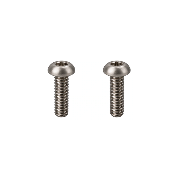 Titanium Paul Brake Lever Pivot Screws
