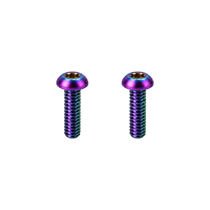 Titanium Paul Brake Lever Pivot Screws