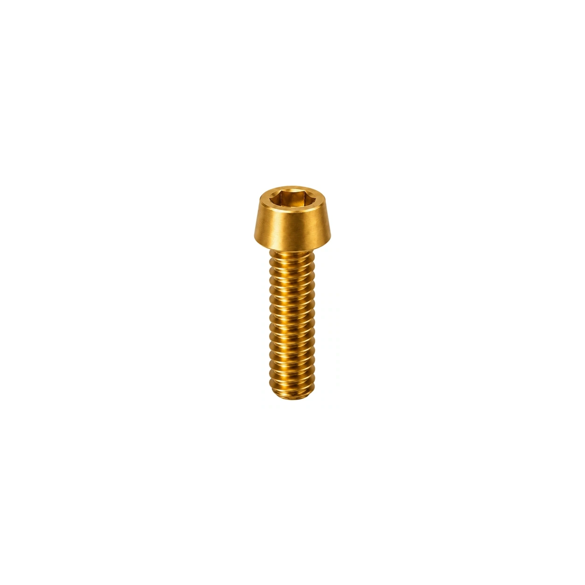 Titanium Litespeed Seatpost Saddle Clamp Bolt — Gold