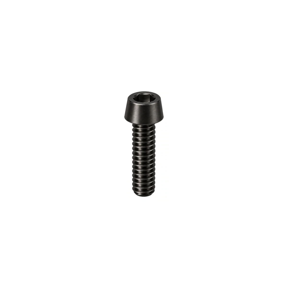 Titanium Litespeed Seatpost Saddle Clamp Bolt — Black