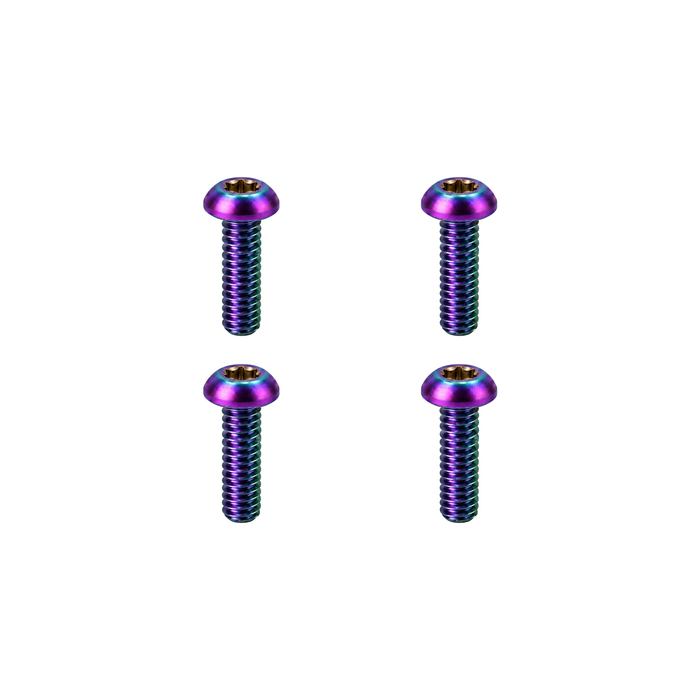 Titanium TRP Reservoir Lid Screws