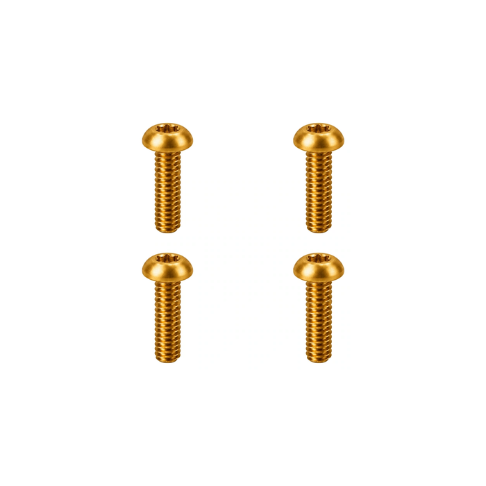 Titanium TRP Reservoir Lid Screws