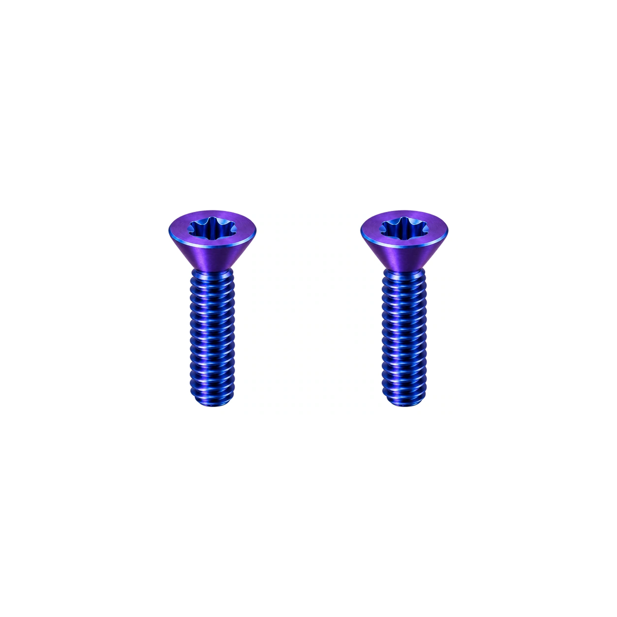 Titanium Brompton Rear Triangle Hinge Screws — Blue Purple