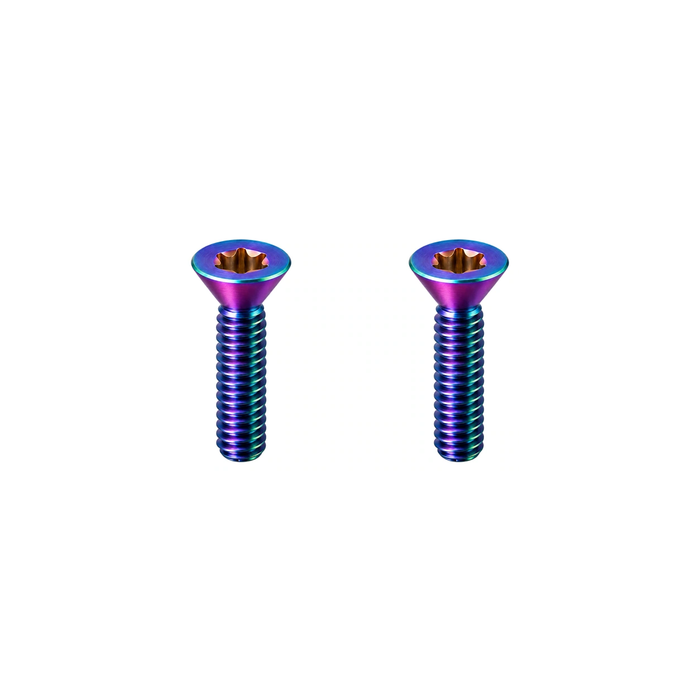 Titanium Brompton Rear Triangle Hinge Screws