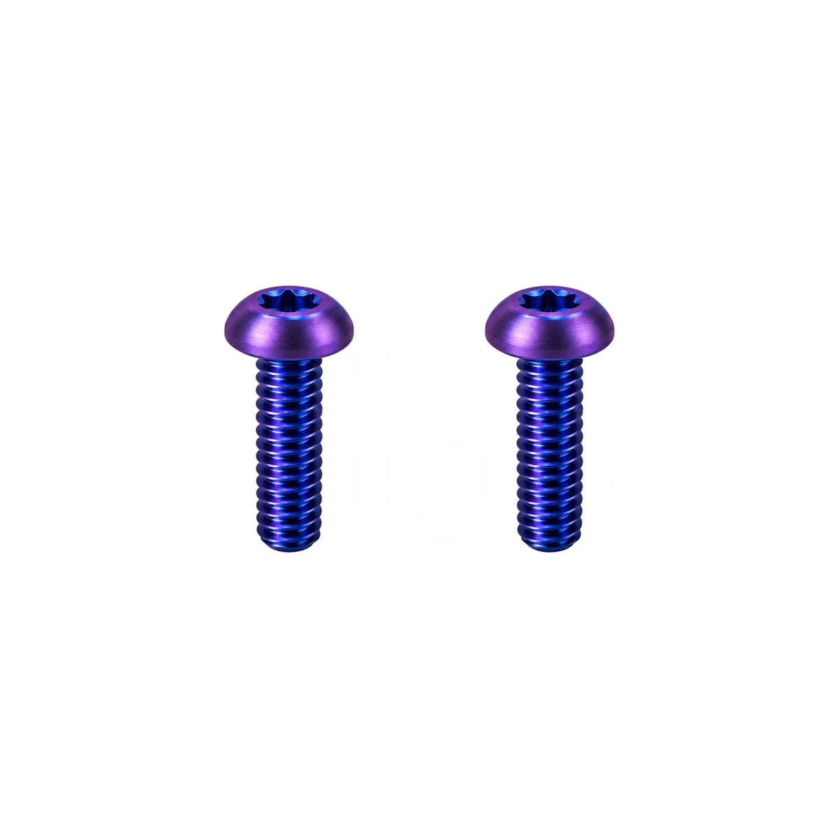 Titanium AirTag Bottle Cage Holder Bolts — Blue Purple