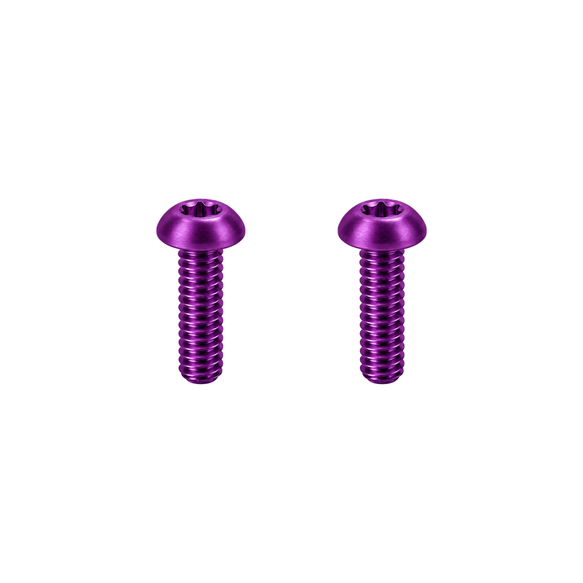 Titanium Trigo Bottle Holder Mount Screws — Purple